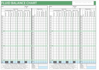 Fluid Balance Chart